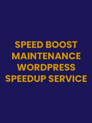 Speed Boost Maintenance Plan (12 Months)